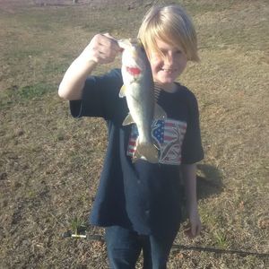 Meet your Posher, Aric